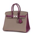 Hermes Special Order (HSS) Birkin 25 Gris Asphalte and Anenome Togo Brushed Palladium Hardware Supply