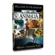 ANIMALIA: WELCOME TO THE KINGDOM [ MOVIE Supply