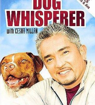 SCREEN MEDIA DVD  DOG WHISPERER  3 MOVIE Cheap